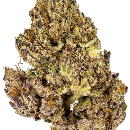 L.A. KUSH
